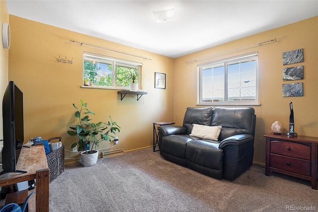 6868 S Birch Way, Centennial, CO 80122 - sitting room with carpet and baseboards