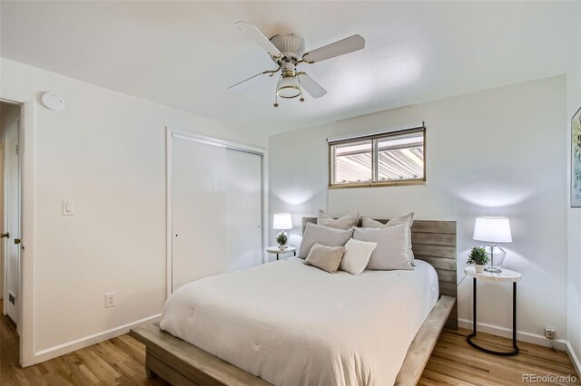 5563 Newland Way, Arvada, CO 80002 - bedroom with a closet, light wood-style flooring, and ceiling fan