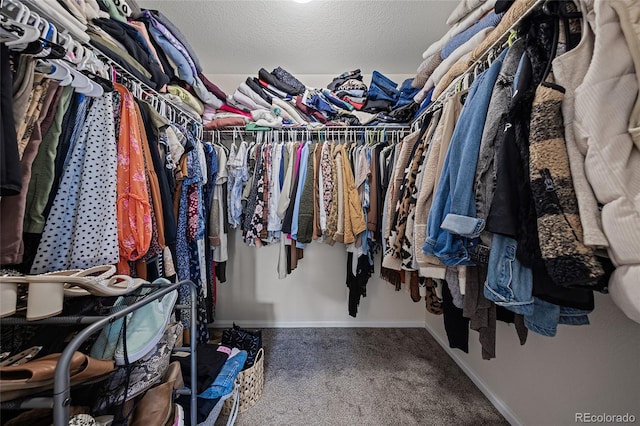 walk in closet with carpet floors