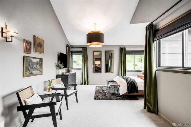 600 Cascade Dr, Golden, CO 80403 - bedroom featuring carpet flooring, vaulted ceiling, and baseboards