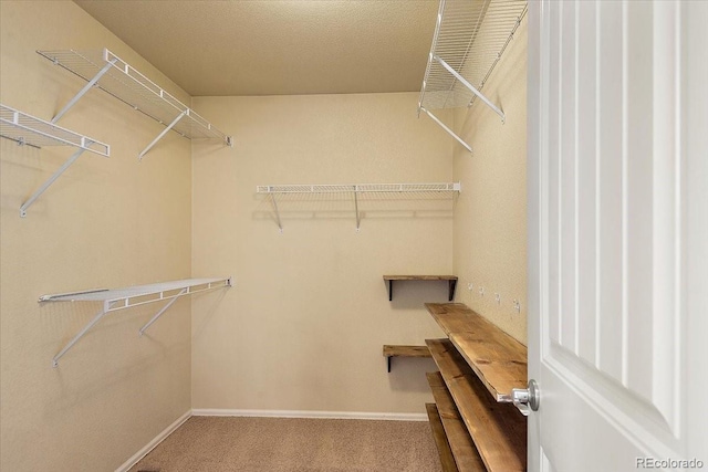 spacious closet with carpet floors