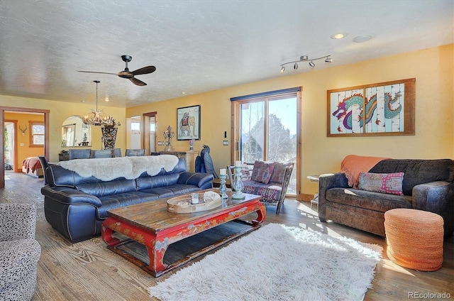 living room with wood-type flooring, rail lighting, ceiling fan with notable chandelier, and a textured ceiling