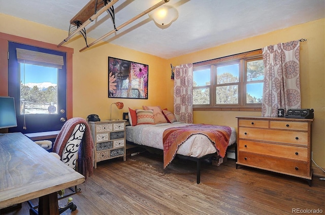 bedroom with dark hardwood / wood-style flooring