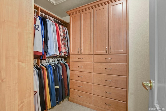 walk in closet with light colored carpet