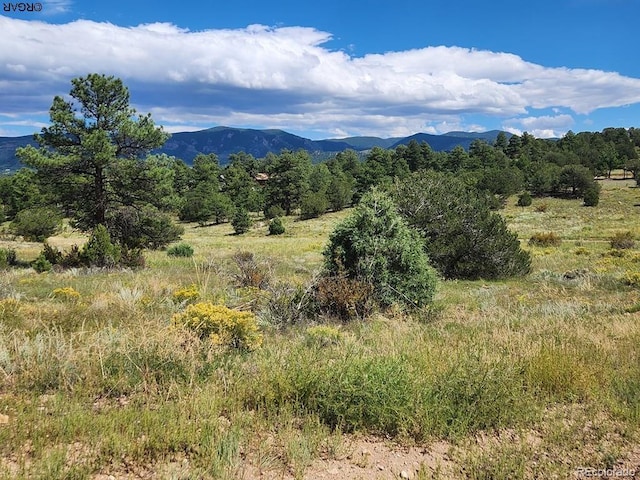 15 Arroyo Ave, Silver Cliff CO, 81252 land for sale