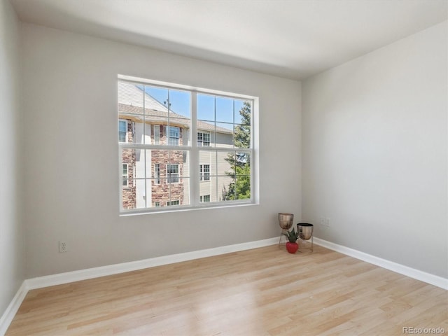 12348 W Dorado Pl Unit 204, Littleton, CO 80127 - empty room with wood finished floors and baseboards