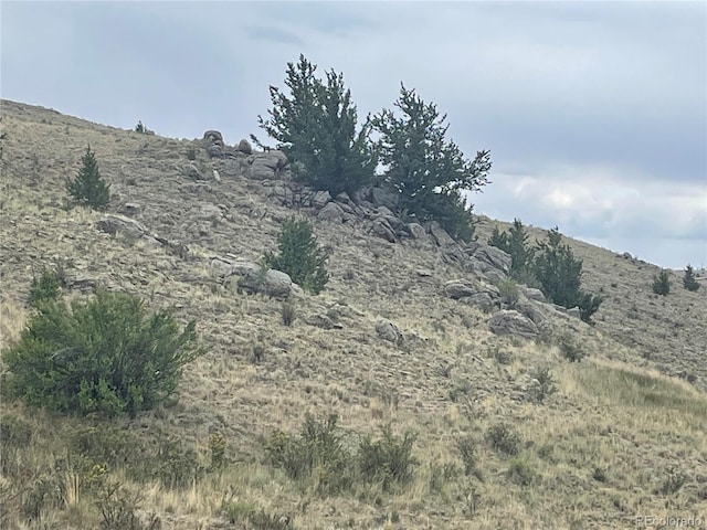 924 Mustang Rd, Como, CO 80432 - photo 4