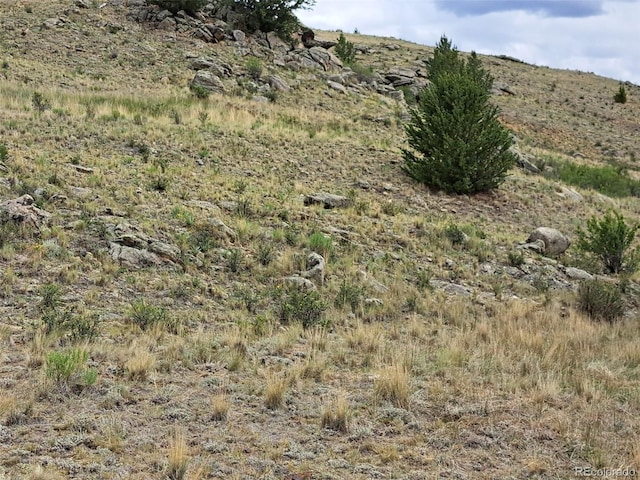 924 Mustang Rd, Como, CO 80432 - photo 5