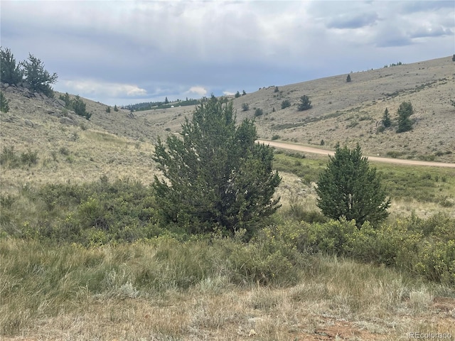 924 Mustang Rd, Como, CO 80432 - photo 12
