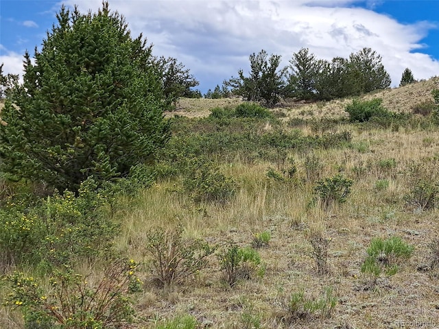 924 Mustang Rd, Como, CO 80432 - photo 16