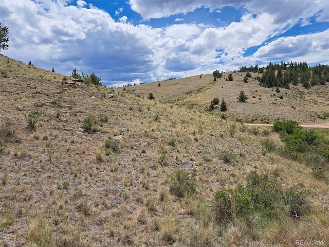 924 Mustang Rd, Como, CO 80432 - photo 17
