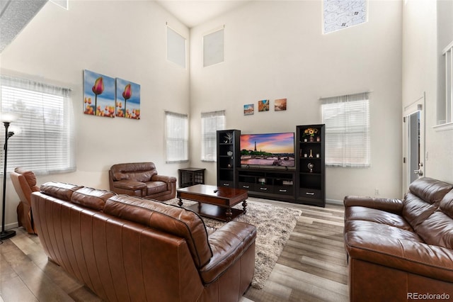 living room featuring a towering ceiling and light hardwood / wood-style flooring