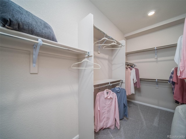 21885 E 51st Dr, Aurora, CO 80019 - photo 18