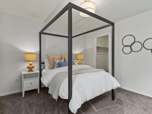 5445 Verbena St, Denver, CO 80238 - carpeted bedroom with baseboards and a walk in closet