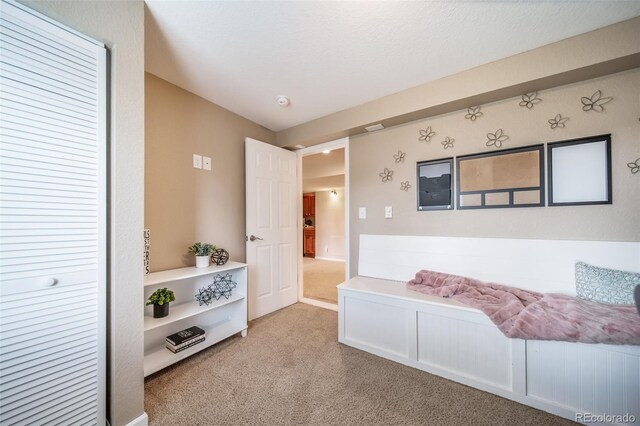 9548 La Quinta Dr, Lone Tree, CO 80124 - corridor featuring carpet flooring