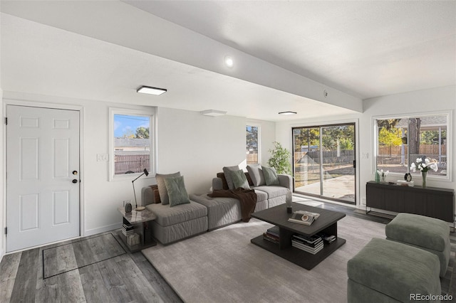 living room with light hardwood / wood-style flooring