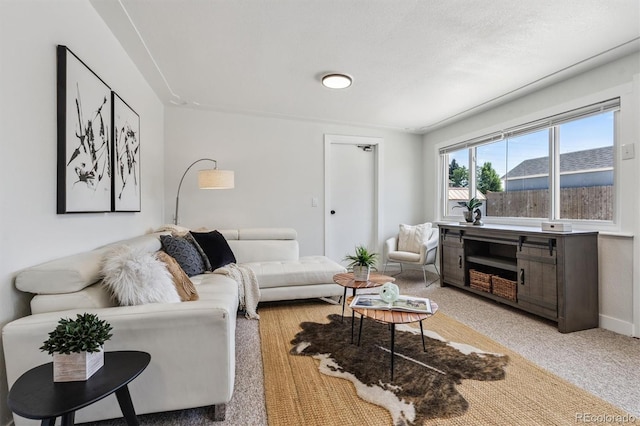 1418 5th St, Fort Lupton, CO 80621 - living room with light carpet