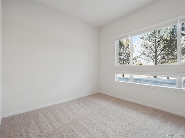 485 Interlocken Blvd Unit 103, Broomfield, CO 80021 - photo 7