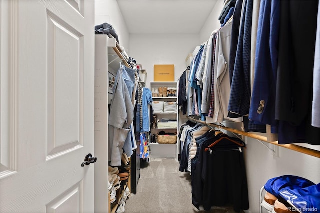 spacious closet with carpet