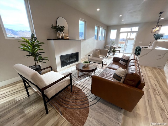 living room with light hardwood / wood-style floors