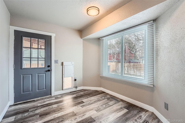 foyer featuring plenty of natural light, wood-type flooring, and a textured ceiling