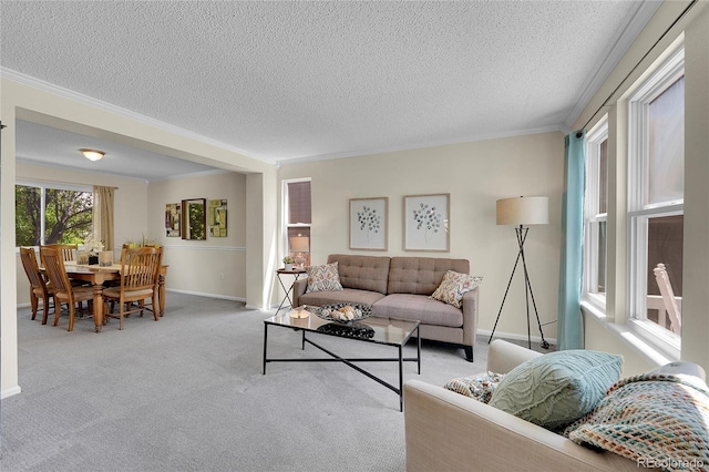 19075 E Grand Cir, Aurora, CO 80015 - living area with a textured ceiling, crown molding, carpet floors, and baseboards