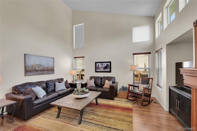 19075 E Grand Cir, Aurora, CO 80015 - living room with high vaulted ceiling, light wood-style floors, healthy amount of natural light, and baseboards