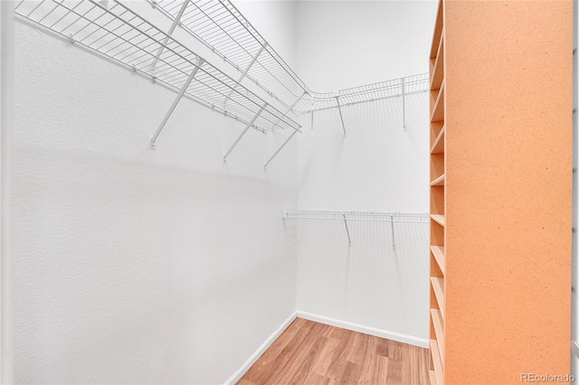 19075 E Grand Cir, Aurora, CO 80015 - walk in closet with light wood-style floors