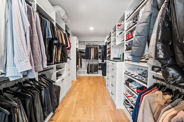 spacious closet with light wood-type flooring