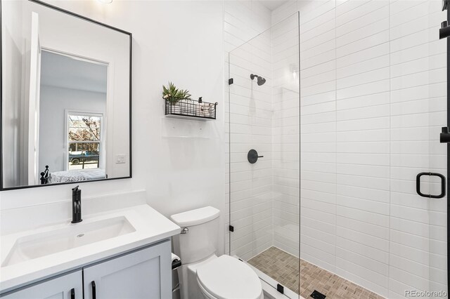 bathroom with toilet, a shower stall, and vanity