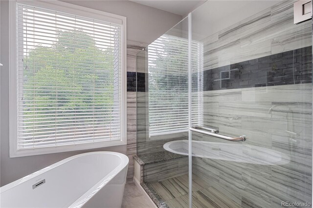 2249 Weatherstone Cir, Highlands Ranch, CO 80126 - bathroom featuring a soaking tub, a shower stall, and plenty of natural light