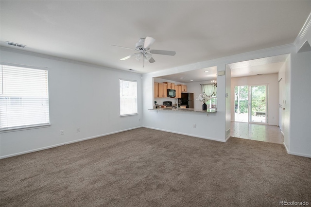 7871 Ogden Ct, Denver, CO 80229 - unfurnished living room with carpet, ornamental molding, and a ceiling fan