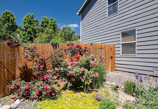 7871 Ogden Ct, Denver, CO 80229 - view of yard