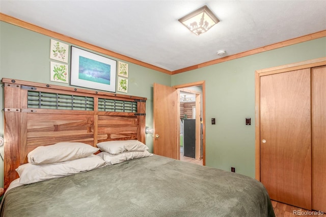 14601 S Elk Creek Rd, Pine, CO 80470 - photo 18