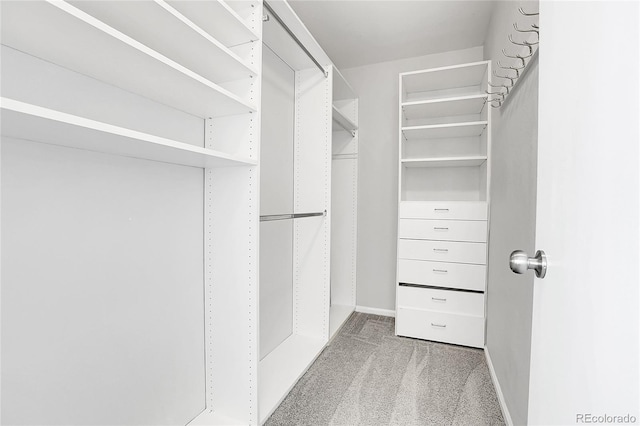 7977 S Kittredge St, Englewood, CO 80112 - spacious closet with carpet floors