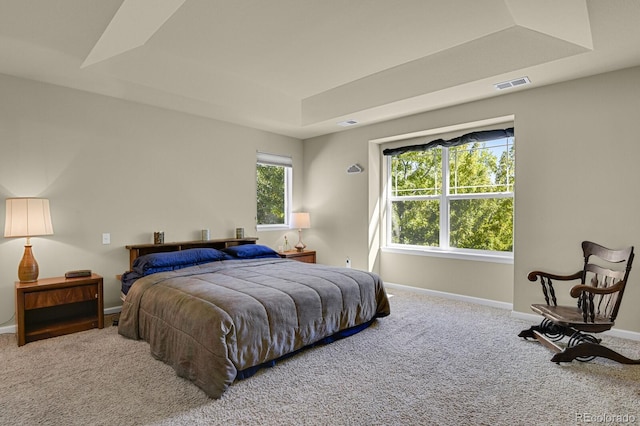 bedroom with a raised ceiling and carpet flooring