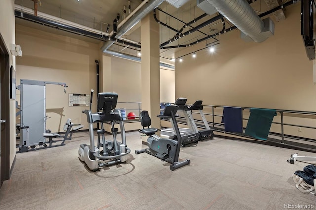 exercise room featuring light carpet and a high ceiling