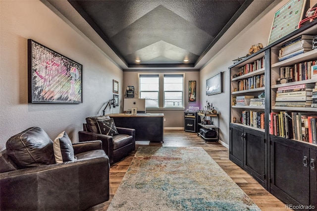 office area featuring a tray ceiling and hardwood / wood-style floors