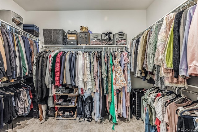 spacious closet with carpet floors