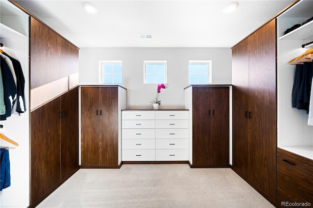 interior space with light colored carpet