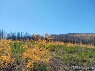 Ueda Pl, Fort Garland CO, 81133 land for sale