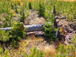Ueda Pl, Fort Garland, CO 81133 - photo 4