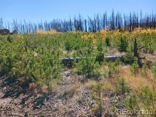 Ueda Pl, Fort Garland, CO 81133 - photo 5