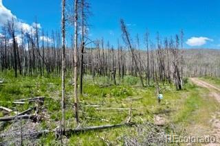 Ueda Pl, Fort Garland, CO 81133 - photo 8