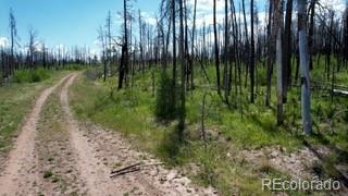 Ueda Pl, Fort Garland, CO 81133 - photo 10