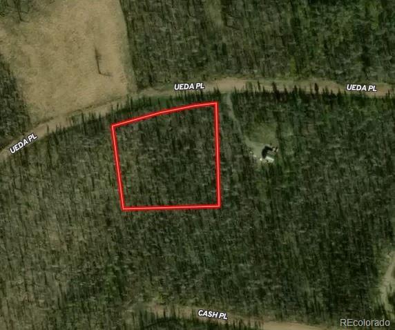 Ueda Pl, Fort Garland, CO 81133 - photo 11