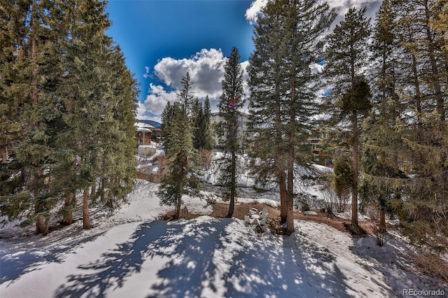 view of yard covered in snow