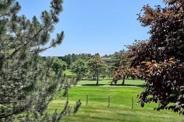 7834 Vallagio Ln, Englewood, CO 80112 - view of property's community featuring a yard