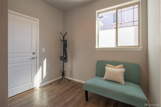 sitting room with dark wood-type flooring