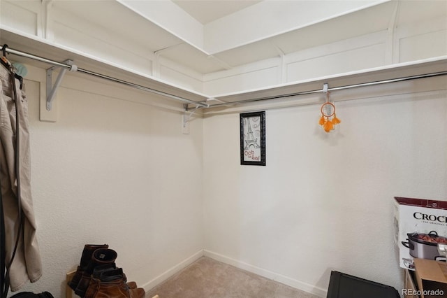 3755 Hartsock Ln Unit 102, Colorado Springs, CO 80917 - walk in closet featuring light carpet